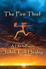 The Fire Thief - Judith Healey - 9781959770749