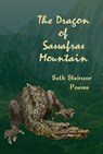 The Dragon of Sassafras Mountain - Seth Steinzor - 9781959984610
