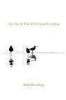 One Day the Birds Will Explain Everything - Mark Bromberg - 9781960326980