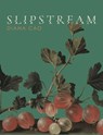 Slipstream - Diana Cao - 9781961209619