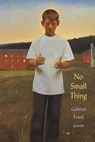 No Small Thing - Gabriel Fried - 9781961897342