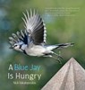 A Blue Jay is Hungry - Nick Vakalopoulos - 9781961978232