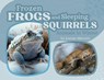 Frozen Frogs and Sleeping Squirrels: Animals in Winter - Joanne Mattern - 9781962981033