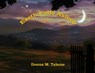 Earth Falls Asleep - Donna Marie Tabone - 9781964513119