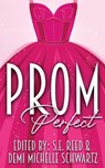 Prom Perfect - S E Reed ; Demi Michelle Schwartz - 9781964885148