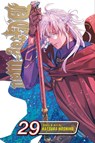 D.Gray-man, Vol. 29 - Katsura Hoshino - 9781974765881