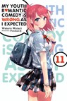 My Youth Romantic Comedy Is Wrong, As I Expected, Vol. 11 (light novel) - Jennifer Ward ; Ponkan 8 ; Wataru Watari - 9781975324988