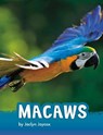 Macaws - Jaclyn Jaycox - 9781977132994