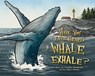 Have You Ever Heard a Whale Exhale? - Caroline Woodward - 9781998129072