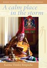 A Calm Place in the Storm: Buddhist Teachings on Finding Wisdom and Compassion - Karma Thinley Rinpoche - 9781998248094