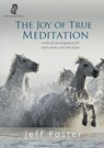 The joy of True Meditation - Jeff Foster - 9781999353537