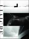 Liaigre: 12 Projects - Christian Liaigre - 9782080467942