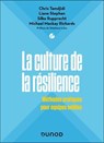 La culture de la résilience - Stéphane Leluc ; Chris Tamdjidi ; Liane Stephan ; Silke Rupprecht ; Michael Mackay Richards - 9782100888238