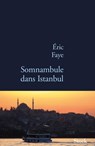 Somnambule dans Istanbul - Eric Faye - 9782234072862