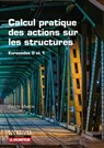 Calcul pratique des actions sur les structures - Pierre Maitre - 9782281144093