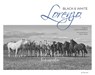 Lorenzo Black & White - Luisine Dessagne - 9782330168889