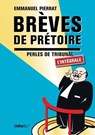 Brèves de prétoires - Emmanuel Pierrat - 9782351642771