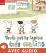 Trois petits lapins très malins - Ghislaine Biondi ; Vincent Guigue - 9782370393524