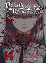 Pétales de réincarnation T14 - Mikihisa Konishi - 9782387560131