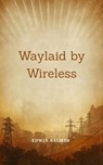 Waylaid by Wireless - Edwin Balmer - 9782661561618