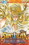 Saint Seiya - Les Chevaliers du Zodiaque - The Lost Canvas - La Légende d'Hadès - Tome 20 - Masami Kurumada ; Shiori Teshirogi - 9782823857610