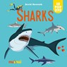 Sharks - David Hawcock - 9782889753994
