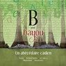 B pour Bayou - Richard Guidry - 9782897501617