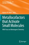 Metallocofactors that Activate Small Molecules - Markus W. Ribbe - 9783030258993