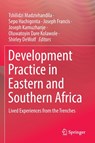Development Practice in Eastern and Southern Africa - Tshilidzi Madzivhandila ; Sepo Hachigonta ; Joseph Francis - 9783030911331
