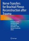 Nerve Transfers for Brachial Plexus Reconstruction after Trauma - Fernando Guedes ; Christian Heinen ; Lukas Rasulic - 9783031924446
