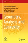 Geometry, Analysis and Convexity - David Alonso-Gutierrez ; Bernardo Gonzalez Merino ; Carlos Hugo Jimenez - 9783032114334