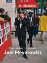 Lizenz zu sehen: Joel Meyerowitz - Joel Meyerowitz - 9783038763451