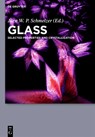 Glass - Alexander S. Abyzov - 9783110555653