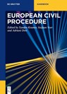 European Civil Procedure - Xandra Kramer ; Stefaan Voet ; Adriani Dori - 9783110775266