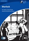 Sherlock - Richard MacAndrew - 9783125401624
