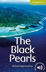 The Black Pearls - Richard MacAndrew - 9783125740952