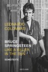 Bruce Springsteen - Like a Killer in the Sun - Leonardo Colombati - 9783150112182