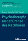 Psychotherapie an der Grenze des Machbaren - Joachim Küchenhoff ; Ralf T. Vogel ; Michael Ermann ; Dorothea Huber - 9783170356597