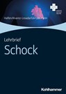Lehrbrief Schock - Tim Halfen ; Kevin Alvarez Losada ; Jan Görtzen-Patin - 9783170415669