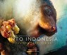 INTO INDONESIA. Eastern Territories - Michael Grünwald - 9783200032446