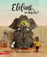 Elefant, wo bist du? - David Barrow - 9783219119206