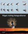 Vögel richtig fotografieren - Bill Coster - 9783258075471