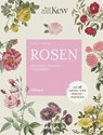 Rosen - Tony Hall - 9783258082592
