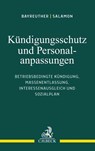 Kündigungsschutz und Personalanpassungen - Frank Bayreuther ; Erwin Salamon - 9783406777479