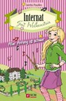 Internat Gut Wolkenstein - Aller Anfang ist schwer - Janita Pauliks - 9783417228243