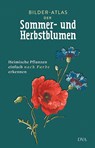 Bilder-Atlas der Sommer- und Herbstblumen -  - 9783421040398