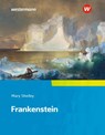 Camden Town Oberstufe. Frankenstein: Textausgabe. - SHELLEY,  Mary - 9783425736235