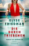 Die Durchtriebenen - Elyse Friedman - 9783426284209