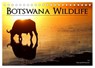 Botswana Wildlife (Tischkalender 2025 DIN A5 quer), CALVENDO Monatskalender -  - 9783435757831