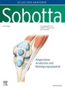 Sobotta, Atlas der Anatomie Band 1 - Friedrich Paulsen ; Jens Waschke - 9783437441301